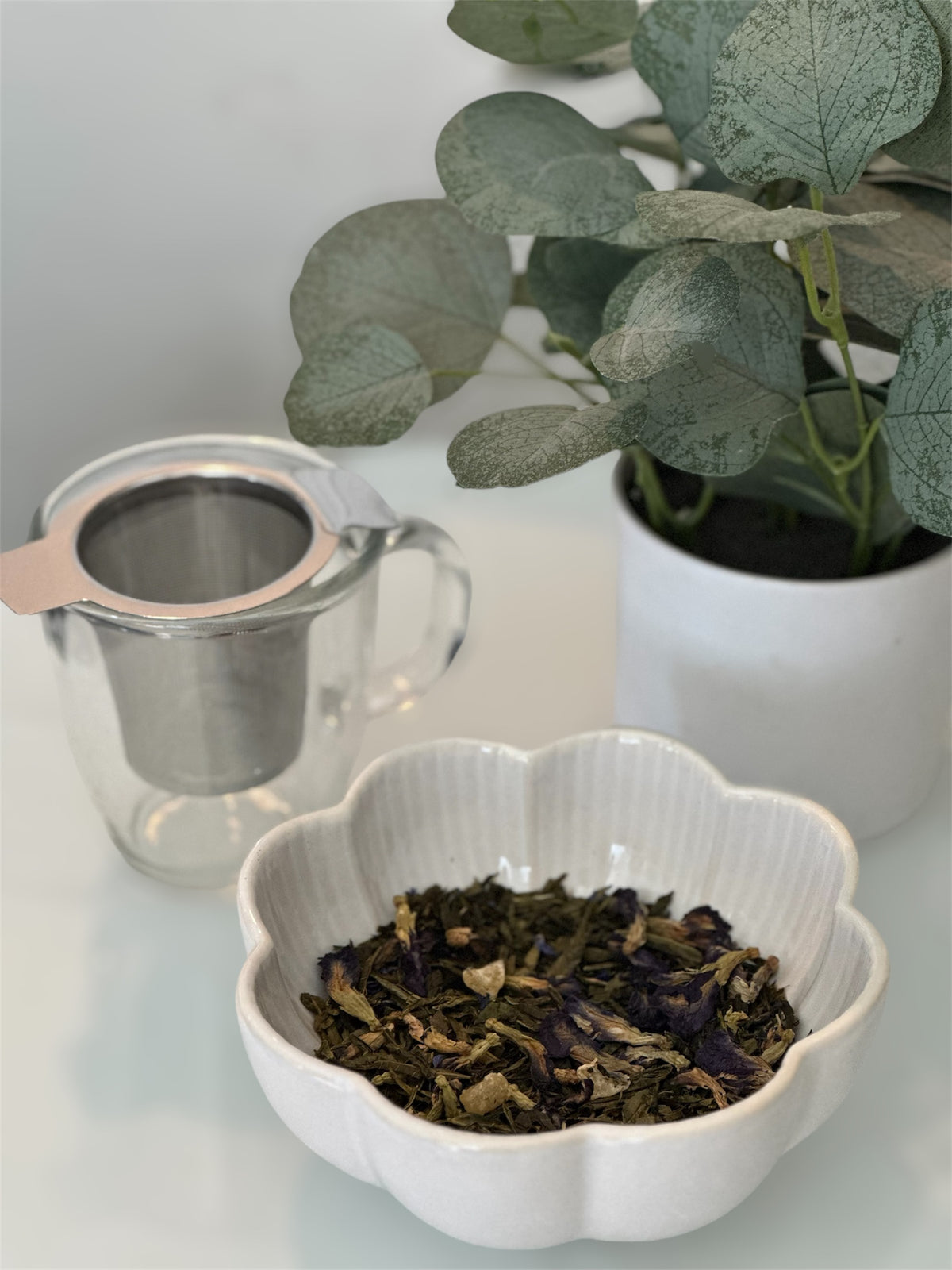 Green Fly Tea Butterfly Pea Tropical Green Tea – Love Tea Company